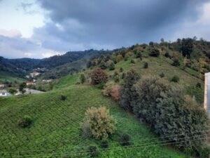 خرید زمین و ساخت ویلا در کتشال