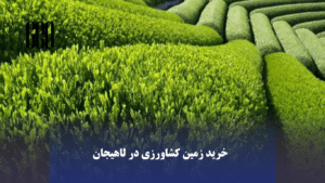 مزایای خرید زمین کشاورزی در لاهیجان