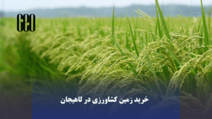 خرید زمین کشاورزی در لاهیجان