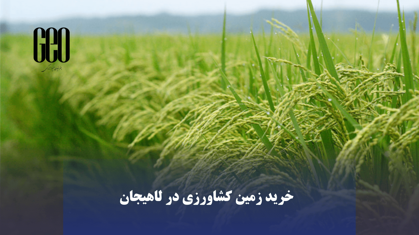 خرید زمین کشاورزی در لاهیجان