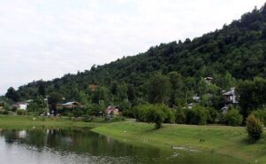 فرصتهای سرمایهگذاری املاک