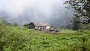 بازار املاک و سرمایهگذاری در مسیر دوم